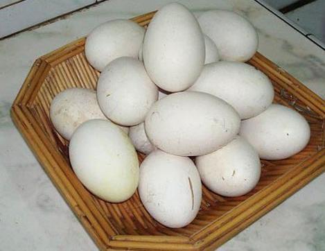 梦见捡珍珠周公解梦,梦见捡珍珠是什么意思?