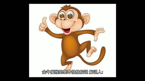 生肖猴:金牛座的属猴人是什么性格?