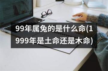 1999年属兔的命运