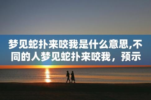 梦见蛇一直追着我咬