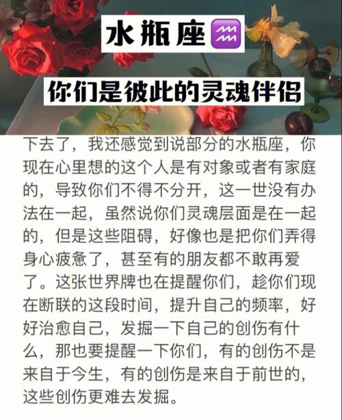彼此欣赏信任,彼此理解宽容的星座配对
