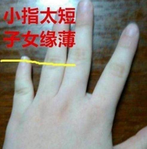 小指未过三关子女没出息