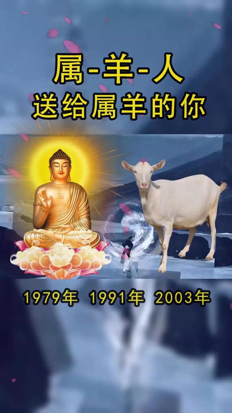属羊与12生肖之间的关系