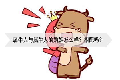 属牛不想恋爱的真正原因