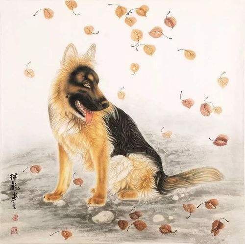 生肖狗面对婚姻危机会怎么做,