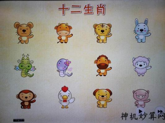忙碌而无所获的生肖排行Top3