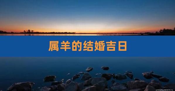 属羊的23年结婚最好的吉日