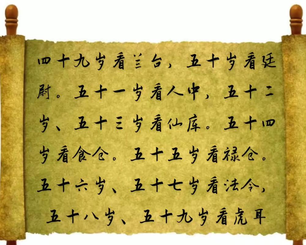 鼻子面相解析大全