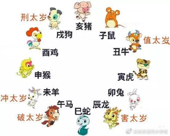 属鼠的人犯太岁一览表