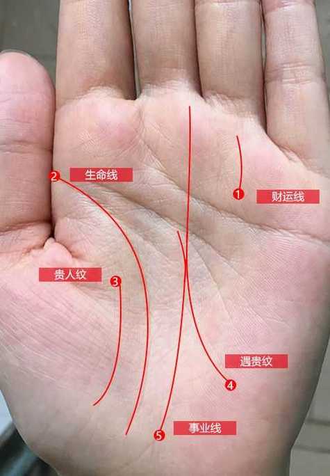 女人掌纹深而清晰代表什么,大富大贵手相特征