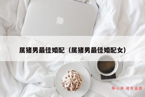 男属猪婚配什么好