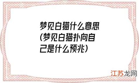 梦到白猫和自己说话有什么预兆