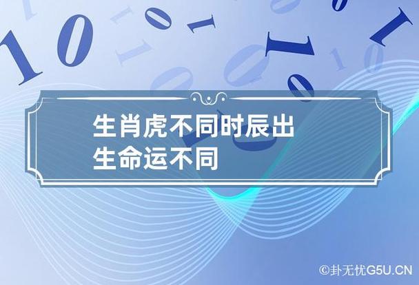 不同时辰命运之生肖虎