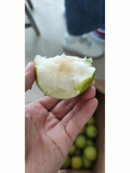 梦见一颗好大的梨树在树底下吃梨