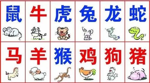 12生肖谁是春运的幸运者