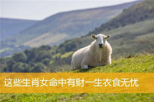 这些生肖女最有享清福的命