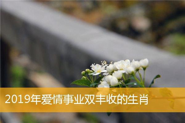 哪些生肖事业爱情双丰收