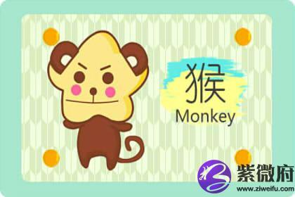 属猴爱上属鸡人的可能性有多大