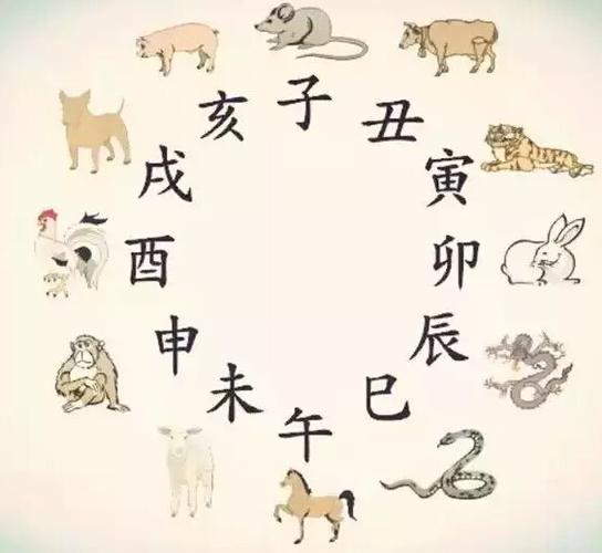 属虎的最佳配偶:午马戌狗