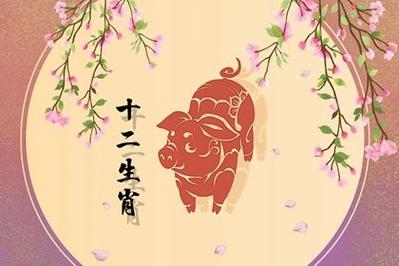 这3对生肖夫妇吵不散感情旺
