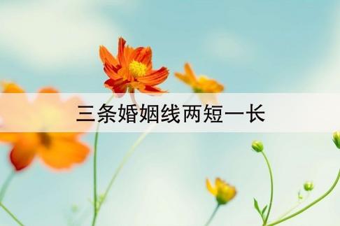 3条婚姻线两短一长中间长