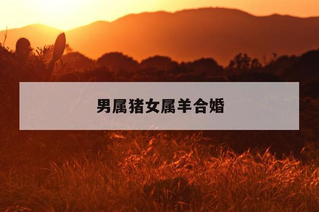 男猪女羊般配吗?生肖羊要怎样工作才会感觉到快乐?