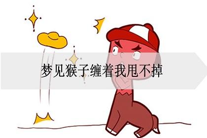 梦见小动物 梦见小动物跟着我甩也甩不掉