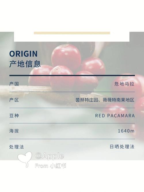 梦见红帕 素帕怎么回事 梦见红帕 素帕有什么预兆