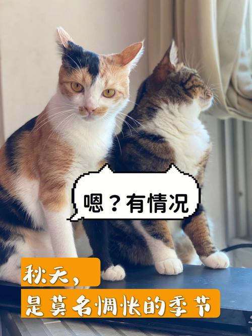 猝不及防 当属兔被爹妈喂了狗粮