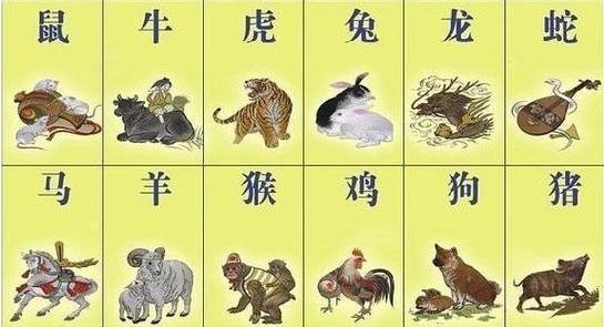 论这些生肖如何看待生命的意义