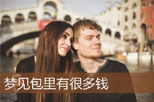 梦见包里有钱