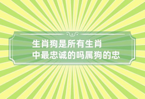 属狗人的性格:忠诚永放第—位