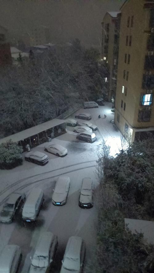 女人梦见下鹅毛大雪