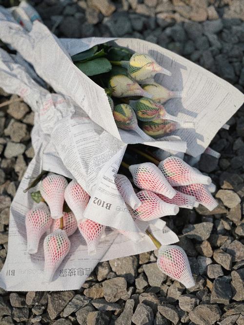 梦见很多盛开的玫瑰花有什么征兆