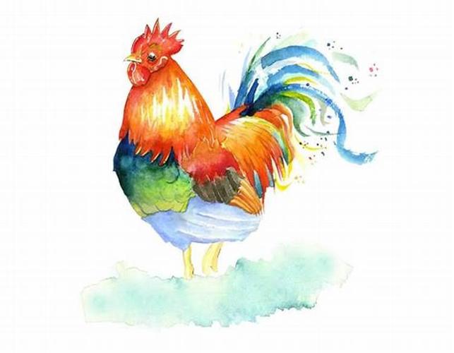 12生肖为啥不结婚——鸡