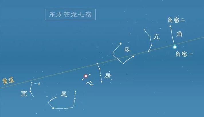 梦见龟入宅中井