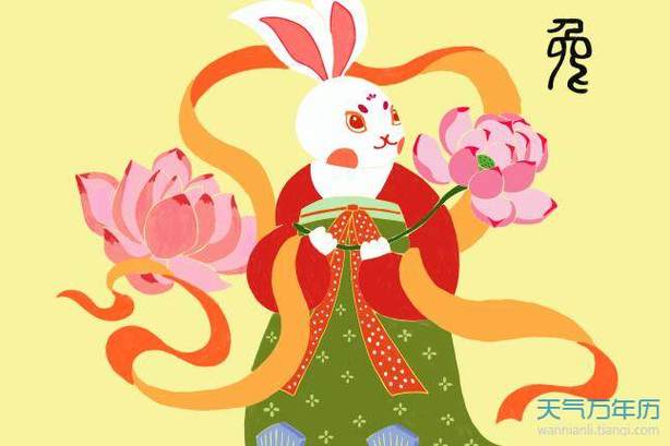 属兔配什么属相最好最幸福