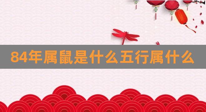 2020年属鼠是什么五行