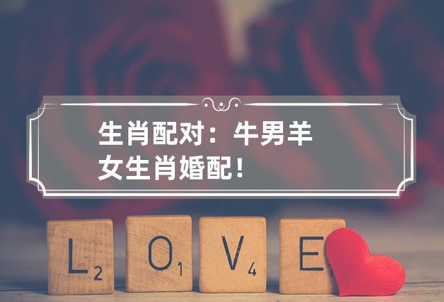 生肖牛和生肖羊的婚配如何