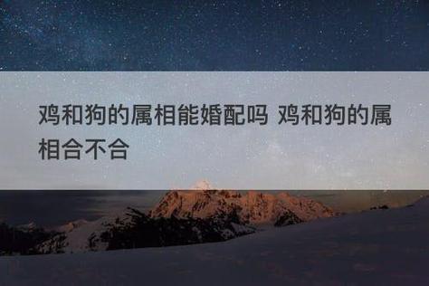 女狗男鸡的婚姻命运?属鸡男有什么不好的地方?