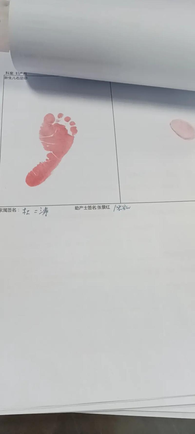 2021年12月29日农历十一月二十六出生的女婴