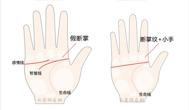 全面解析:女人假断掌手相图解