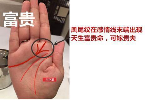 嫁金龟婿的女人手相,一辈子结不了婚的手相
