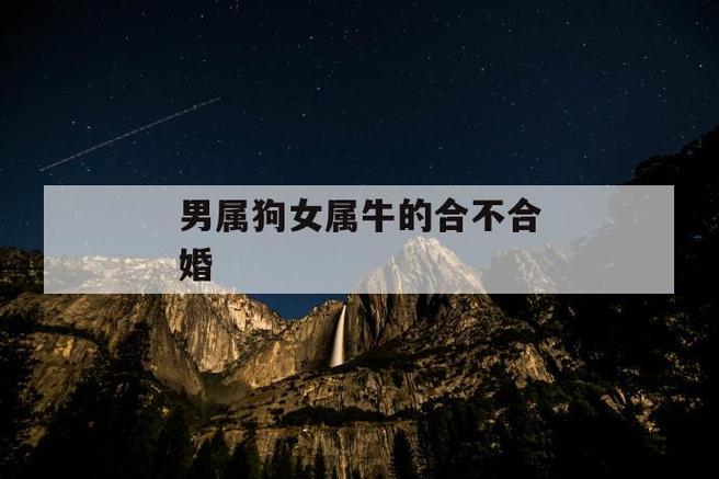 属狗男会爱一个人多久