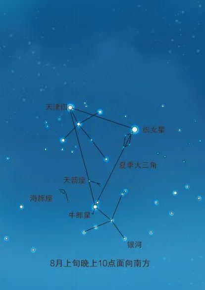 牵牛星在哪个星座