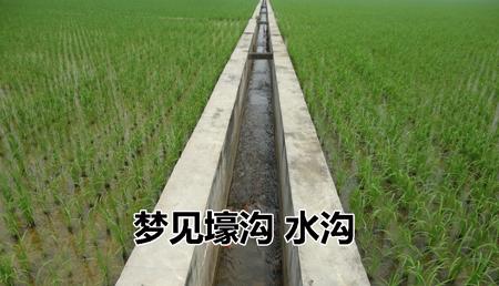 壕沟、水沟