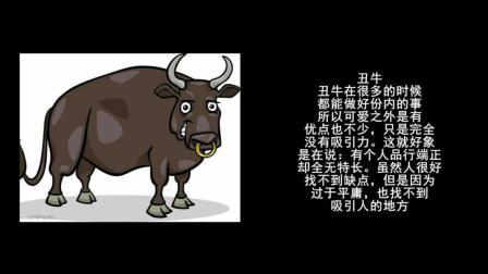 哪些生肖看似平庸,其实天赋最高