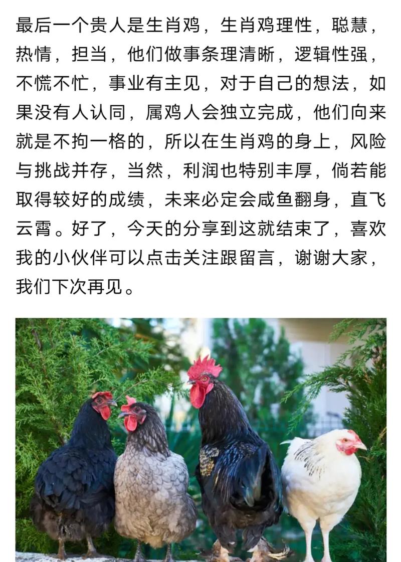 2022年虎年生肖牛的运势