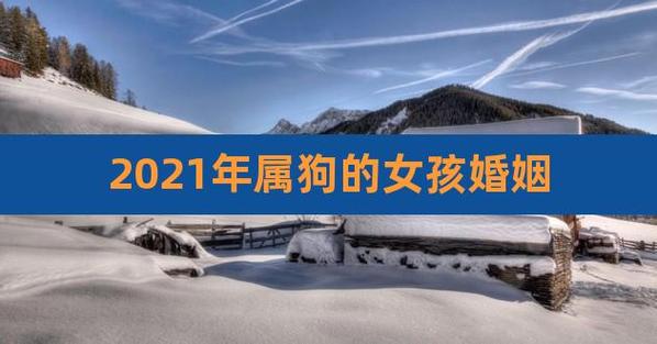 2023年上半年属狗的女人婚姻运分析