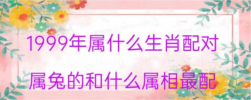 属性兔和什么属相配对